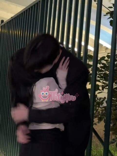 Cánh Bướm Tàn Phai