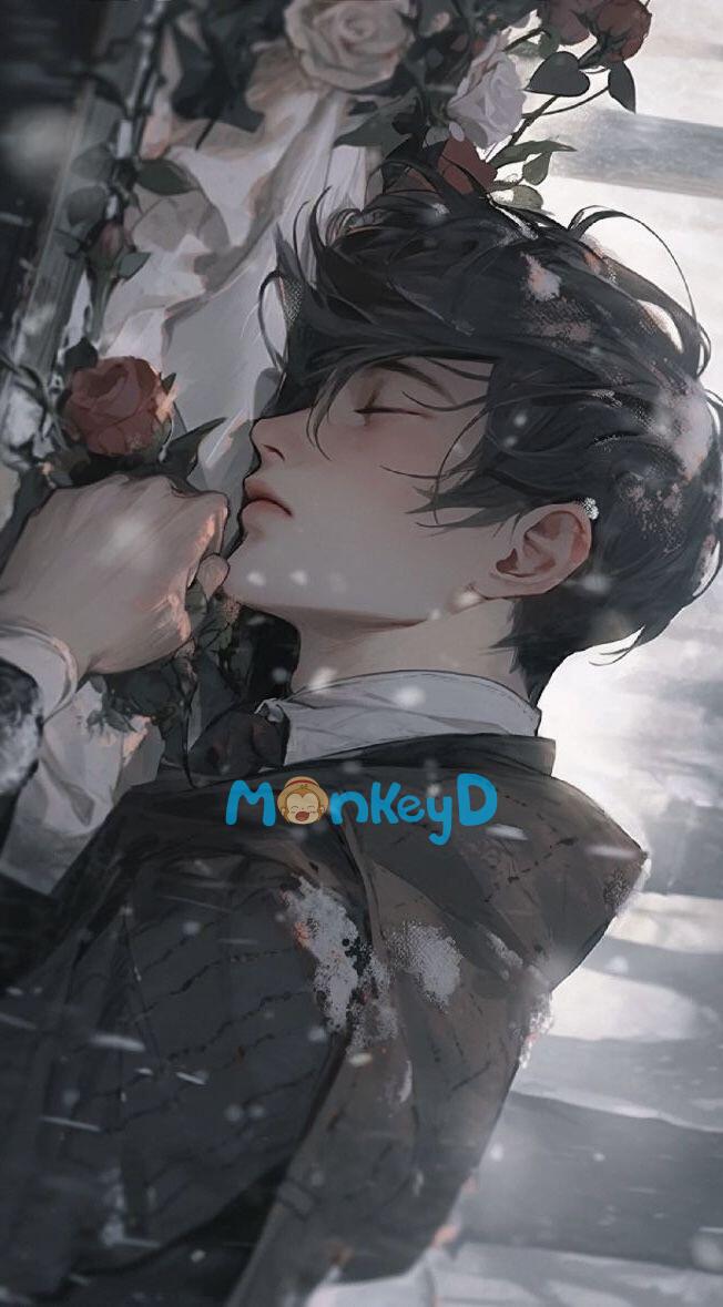 Đóa Hồng Trong Khe Nứt