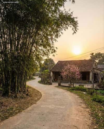 Dưới Gầm Giường Tôi Nghe Thấy Sự Thật