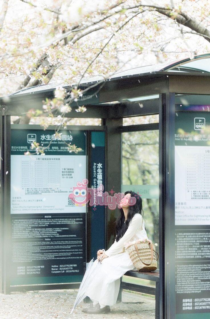 Hối Hận Kiếp Trước