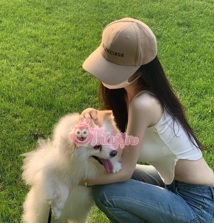 Kế Hoạch Của Cún Con