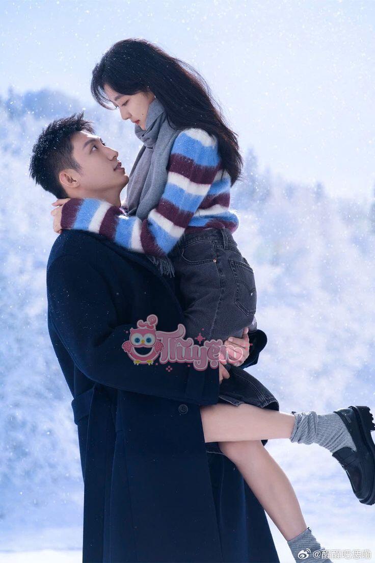 Không Ổn Rồi, Trâu Ngựa Của Tôi