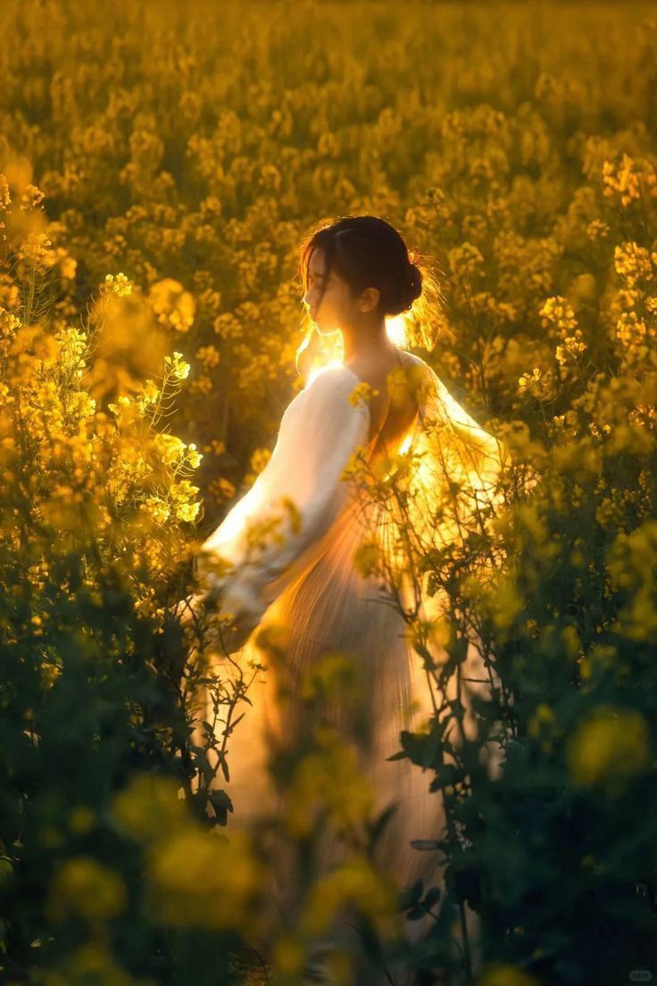 Lạc Giữa Ánh Bình Minh