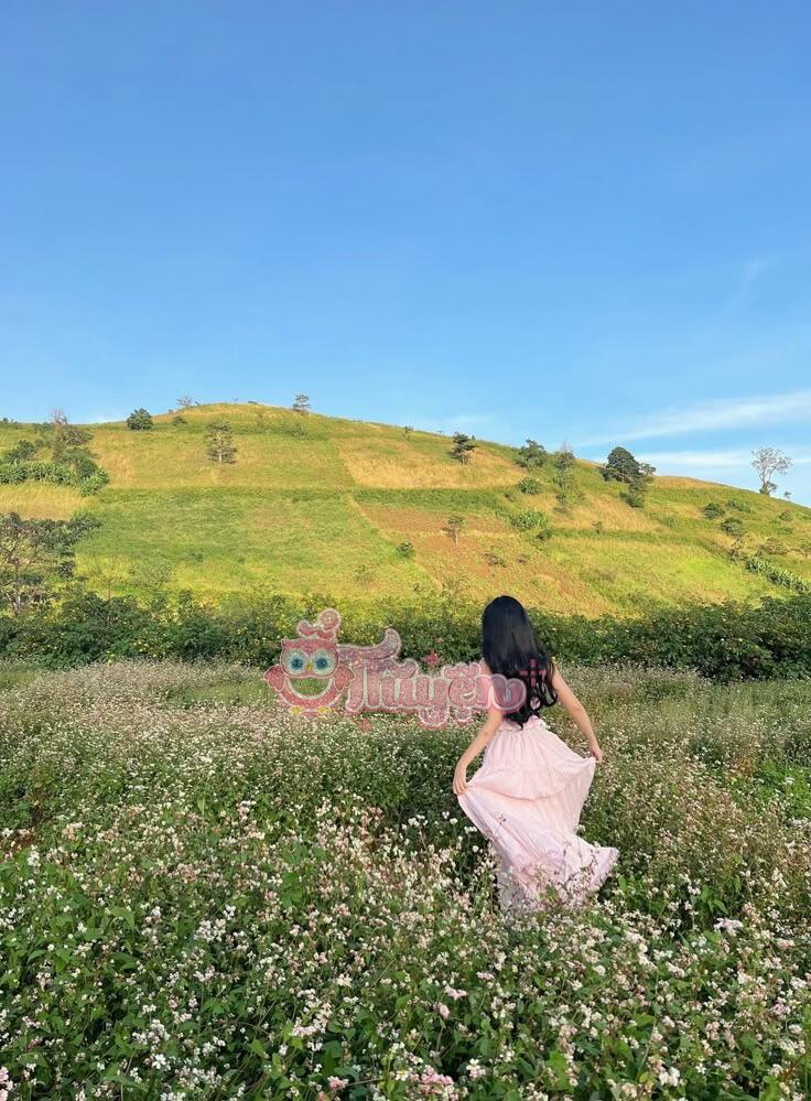 Lời Sám Hối Muộn Màng