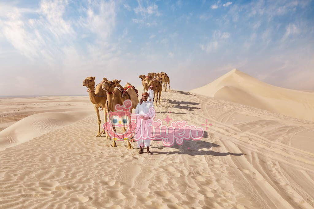 Lời Yêu Chưa Nói