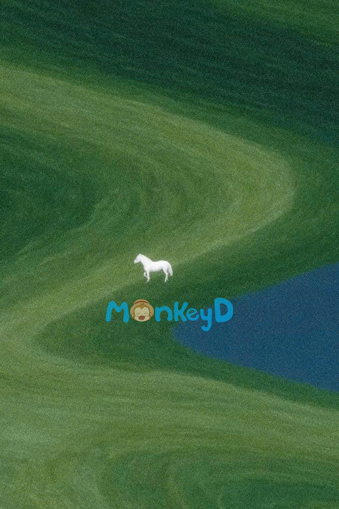 Nhóm Làm Việc Ở Sở Thú