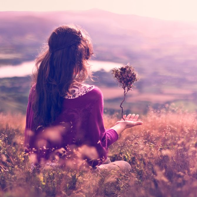 Nỗi Đau Của Trà Xanh