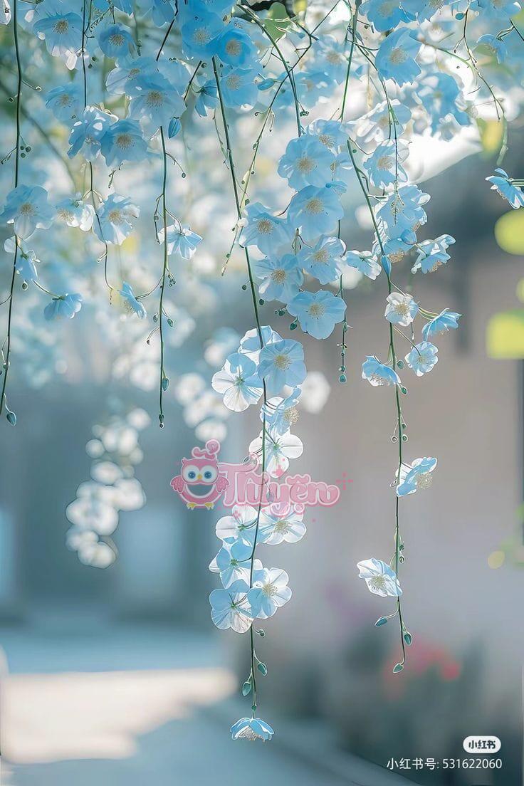 Thiên Kim Thật Giả: Cái Tát Siêu Cấp