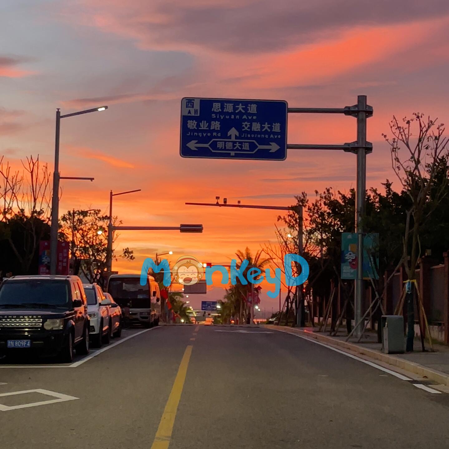 Tôi Hái Được Đoá Hoa Của Đội Cảnh Sát Giao Thông!