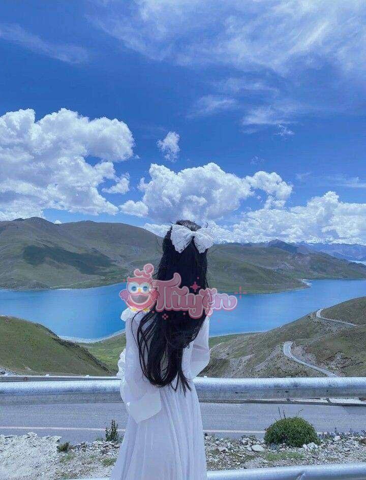 Từ Chối Tài Trợ Cho Sói Mắt Trắng