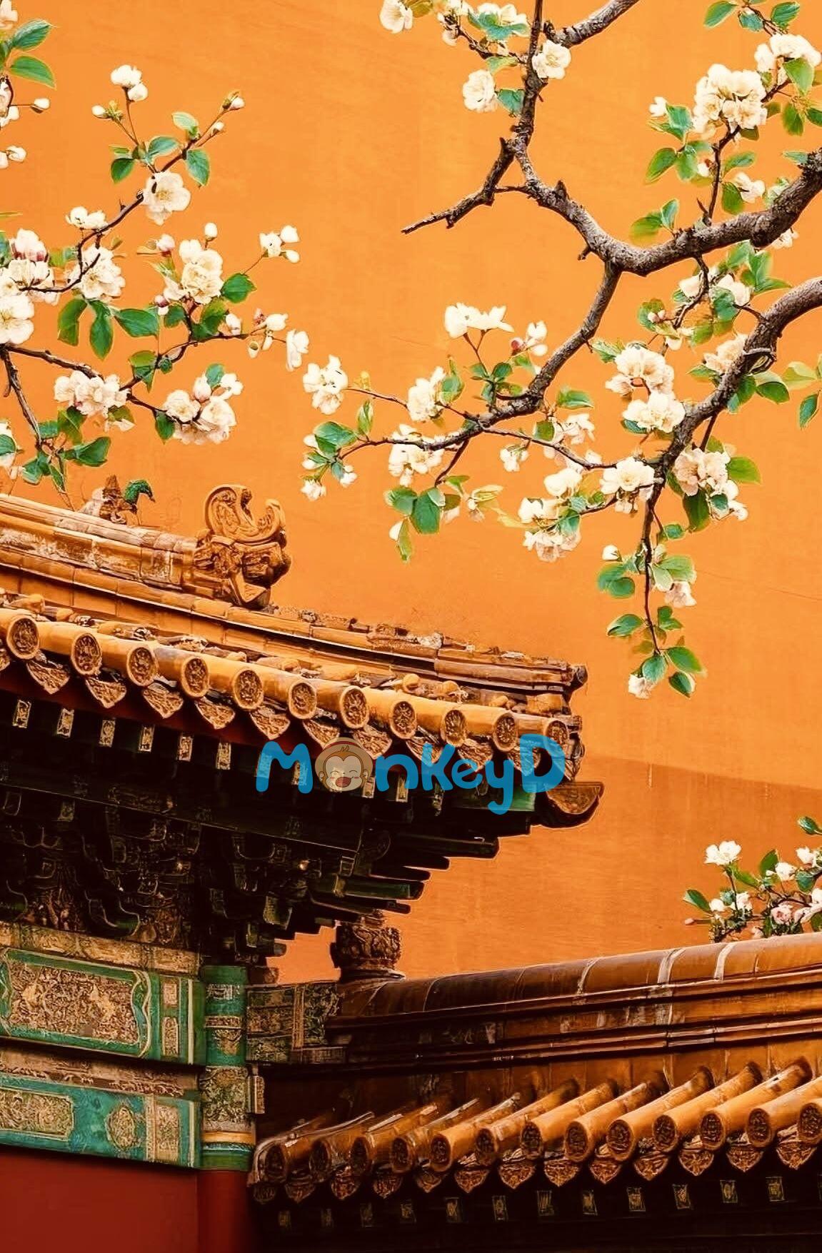 Vận May Và Phước Lành