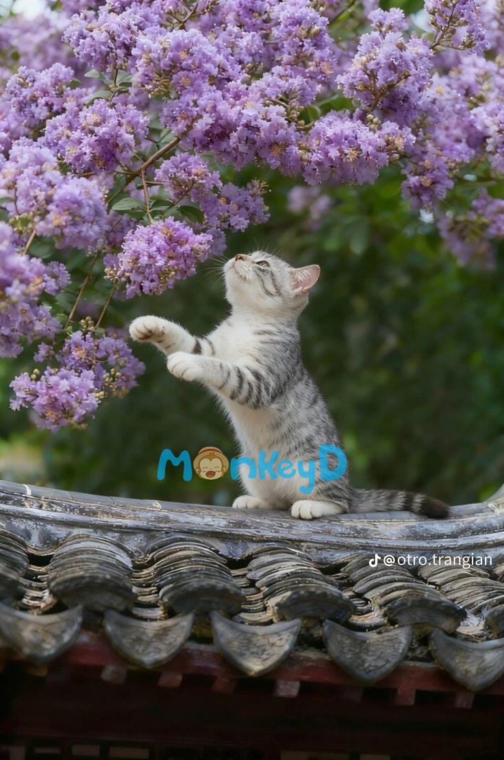 Xuyên Thành Bạch Nguyệt Quang Của Nam Chính Âm Trầm Trong Truyện Xuyên Sách