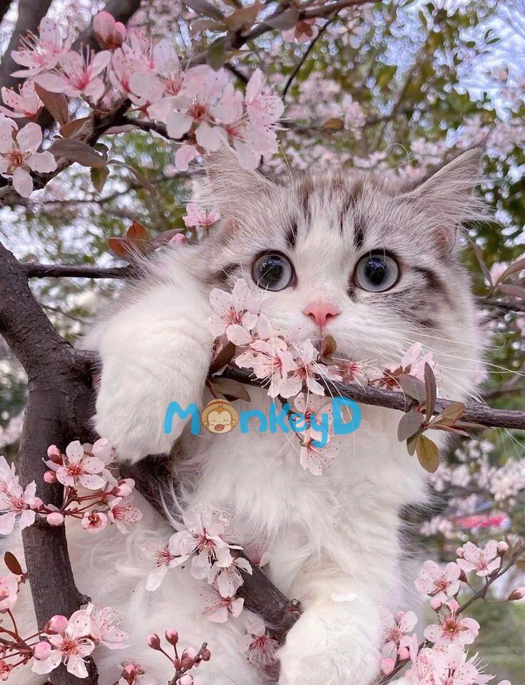 Xuyên Thành Nữ Phụ Ác Độc, Tôi Dựa Vào Lối Sống "Mặc Kệ Đời" Mà Đạt Được Kết Cục Đại Đoàn Viên He